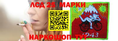 шишки Изобильный