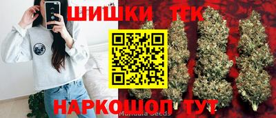 шишки Изобильный