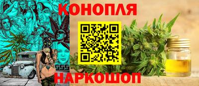 шишки Изобильный