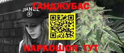 шишки Изобильный