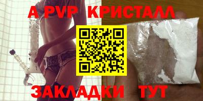 шишки Изобильный